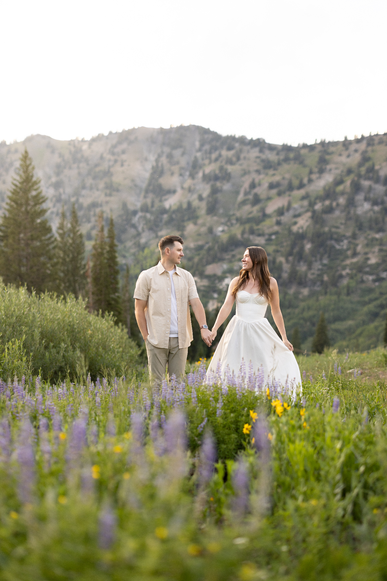 Lupine fields
