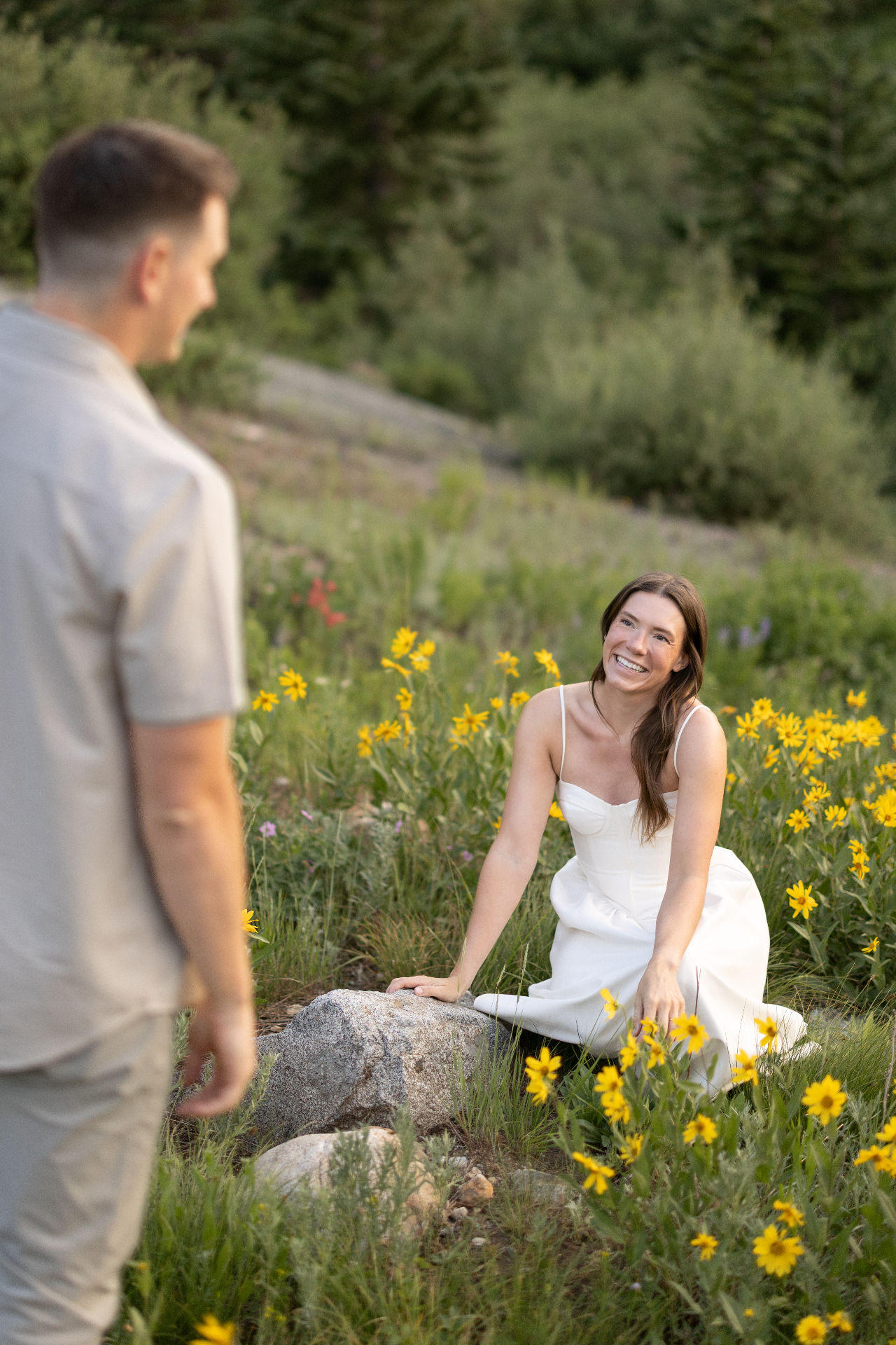 Wildflowers in the Wasatch